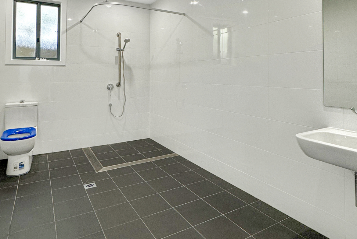 Watt Street, Leumeah NSW 2560 SDA Property photo 4